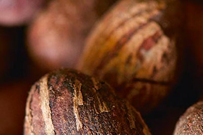 voutiro-karite-systatika-loccitane