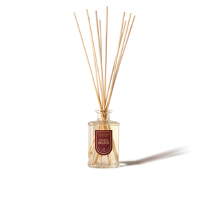 Veillée Pralinée Diffuser