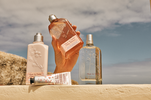 syllogi-cherry-blossom-sylloges-loccitane