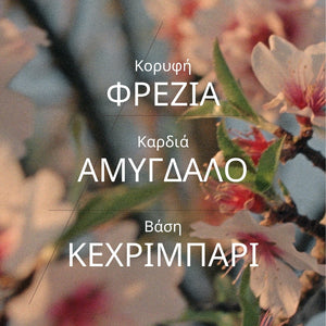 Almond Delightful Hair & Body Mist 100ML