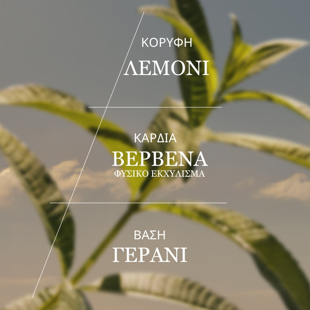 Verbena Eau de Toilette