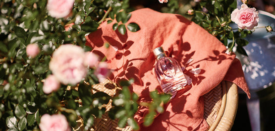rose-eau-de-toilette-signature-aroma-loccitane