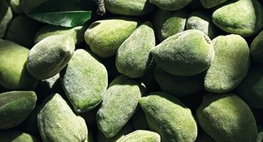 amygdalo-tips-gia-pio-sfrigili-epidermida