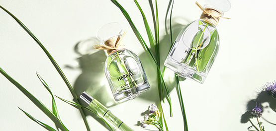 herbae-eau-de-parfum-signature-aroma-loccitane