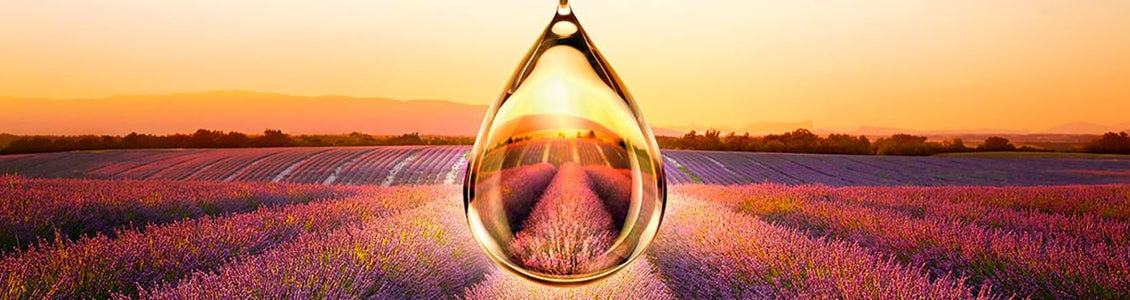 gia-emas-ti-presveuoume-more-than-a-brand-loccitane
