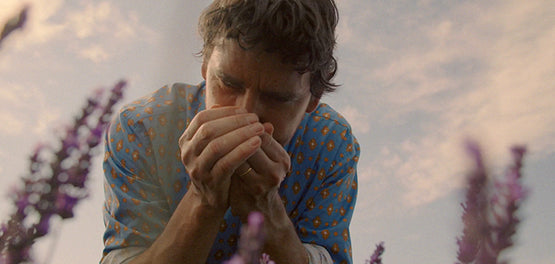 kalliergitis-levantas-kalliergites-allagis-loccitane