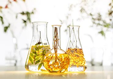 epipleon-apagoreumena-systatika-syntheseis-loccitane