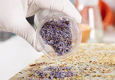systatika-syntheseon-syntheseis-loccitane