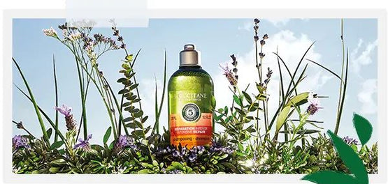 seira-aromachologie-anakyklomena-mpoukalia-meiosi-apovliton-loccitane