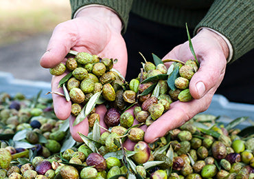 fair-trade-stiriksi-paragogon-loccitane