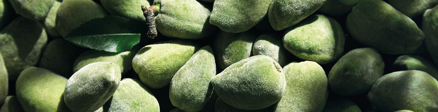 amygdalo-systatika-loccitane