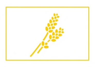 ixnilasimotita-systatika-loccitane