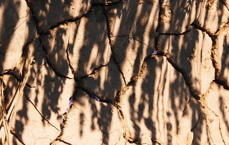 gnorizete-oti-levanta-vrachos-systatika-loccitane