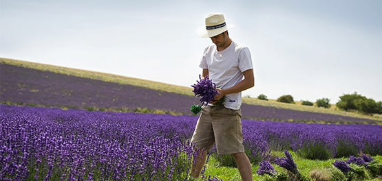 desmeuseis-paragogos-levantas-systatika-loccitane