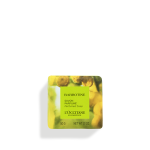 Barbotine Savon 
