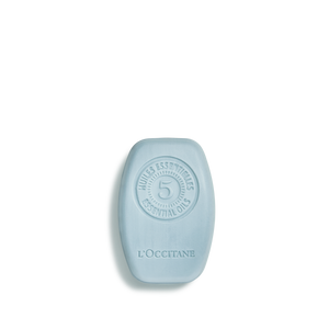 Purifying Freshness Solid Shampoo